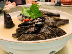 药膳鸡-沙龙酒家
