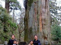 -天目山大树王景区