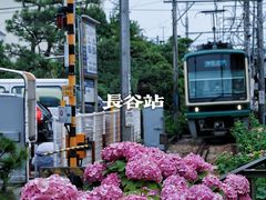 -灌篮高手动画打卡地