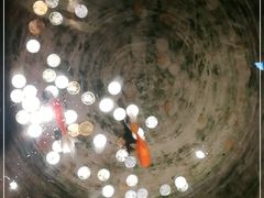 -大海碗·京菜炸酱面(雍和宫店)