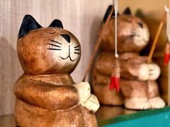 -飞行喵MR PILOT|猫舍·猫咖(静安大融城店)