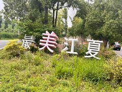 -青龙山国家森林公园