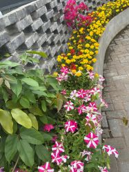 -鸿涛阁宴会中心