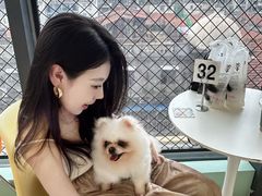 -怪兽屋·羊驼·猫咖·狗咖(俊华广场店)