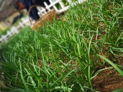 -柞水乾佑红门家菜