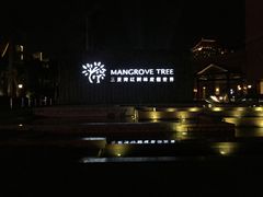 -三亚湾红树林度假世界(木棉酒店)