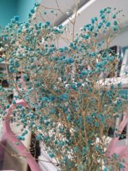 -斐尔国际皮肤管理中心