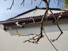 -杭州黄龙洞
