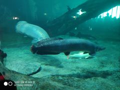 -华夏文旅海洋公园