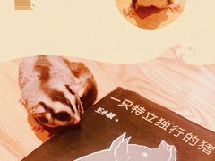 -COSTA COFFEE(新奥购物中心店)