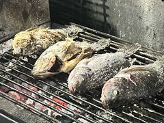 -玛扎烧烤私房菜