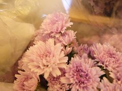 -茶马花街(城西银泰城店)