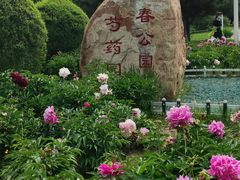 -长春公园(普阳街道)