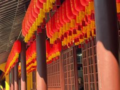 -龙华素斋(龙华路店)