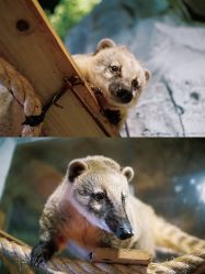 -Zoolung Zoolung动物主题公园(海信广场店)