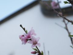 -乌山风景区