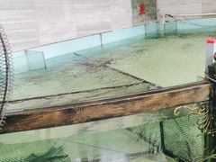 -楚鱼王·河鲜·湖北菜(华农店)