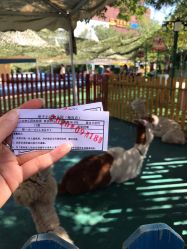 -萌宠亲子动物乐园(槐房万达店)