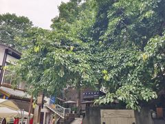 -磁器口古镇