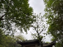 -南山风景名胜区