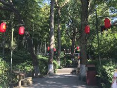 -杭州黄龙洞