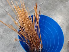 -小向麻辣烫(天街总店)