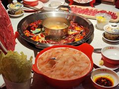 -大龙燚·旷野鲜火锅(广州首店)