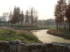 -田园东方蜜桃村的田野营地