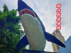-海合安成都极地海洋公园
