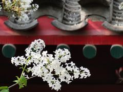 -北京鲁迅博物馆(北京新文化运动纪念馆鲁博馆区)