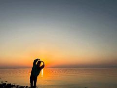 -合肥滨湖国家森林公园