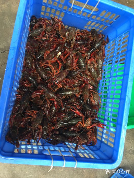 拙味龙虾王图片 - 第212张