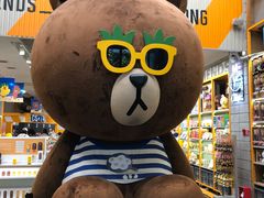 -line friends(明洞旗舰店)