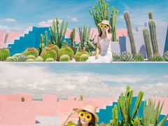 -漳州滨海火山岛自然生态风景区