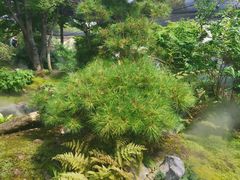 -上海植物园-4号门售票处