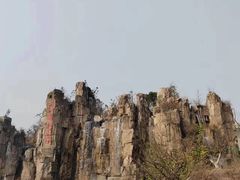 -秀丽东方