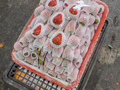-双福水果批发市场