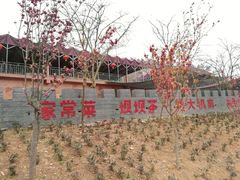 -绵阳盛世樱花悠乐谷