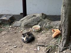 -西园戒幢律寺