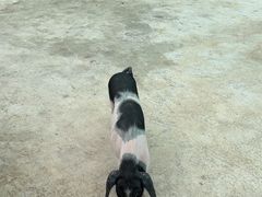 -湖南湘都生态农业园