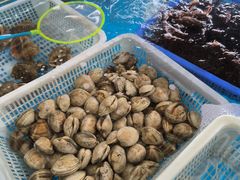 -老太太海鲜城(森林公园任家台店)