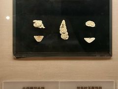 -宁夏博物馆