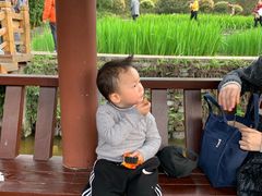 -龙头寺公园