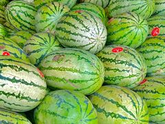 -大连果菜批发市场