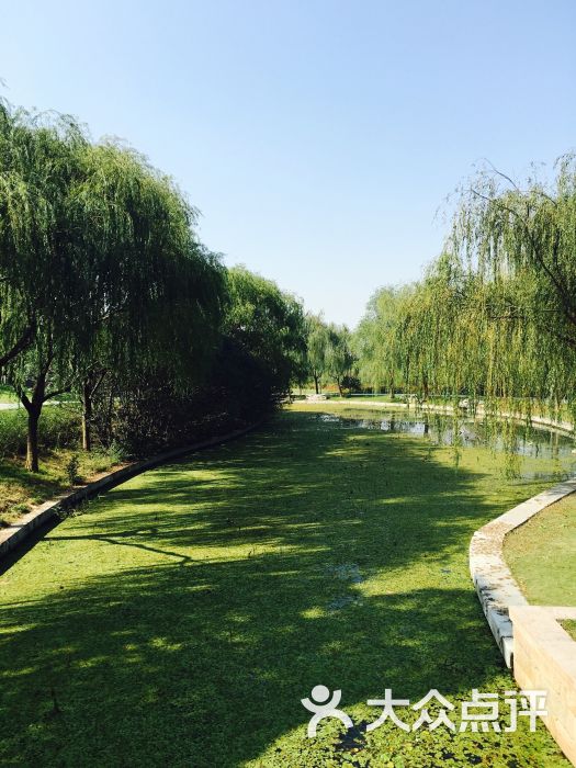 蓮池湖公園-圖片-蘇州周邊遊-大眾點評網