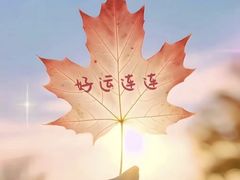 -锅贴大王南翔小笼(临沂二村店)