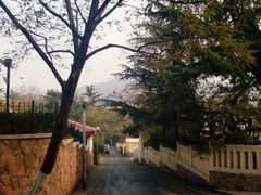 android_upload_pic-八大关景区