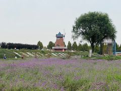 -君乐宝优致牧场