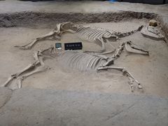 -洛阳周王城天子驾六博物馆