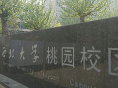 -西北大学(桃园校区)